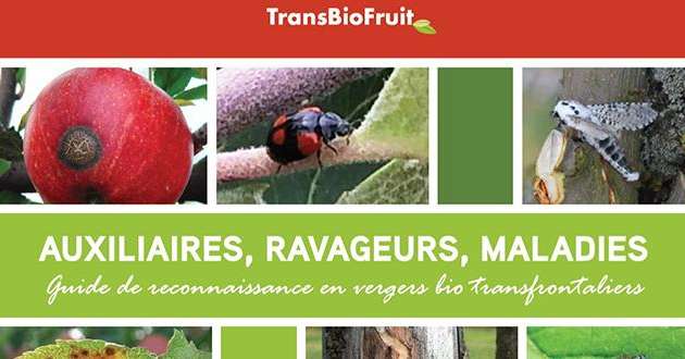  "Tout savoir qui n’est pas partagé est perdu" , proclament les partenaires de TransBioFruit : BioWallonie, le CRA-W (centre de recherches agronomiques) de Gembloux, la Fredon Nord - Pas-de-Calais et le Gabnor.
