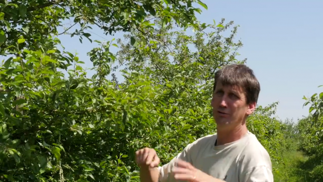 Alex Franc, arboriculteur en Ariège, présente ses stratégies de lutte biologique par conservation et sa gestion de la biodiversité à travers deux vidéos réalisés par Osaé. DR