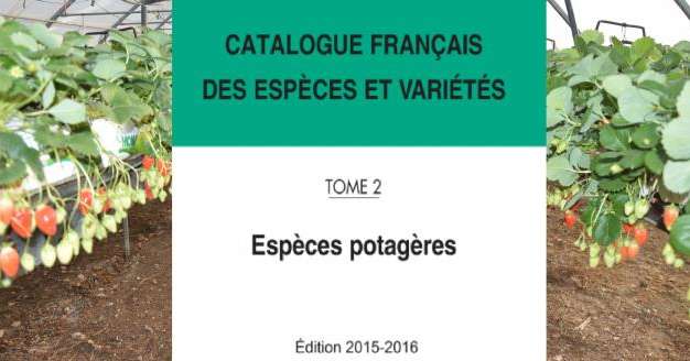 Comme chaque année, le Comité technique permanent de la sélection du Geves met à jour et publie le Catalogue des espèces potagères inscrites en France.