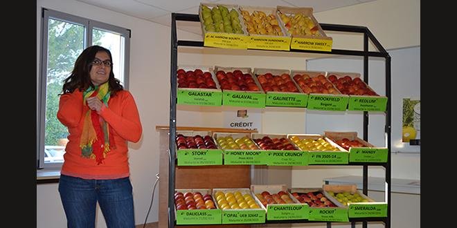 À l'occasion de la présentation pommes/poires à La Pugère, Emmanuelle Filleron a réaffirmé l'importance du réseau d'expérimentation Sud-Est pour ces deux programmes. Photo: L.Rubio/Pixel Image