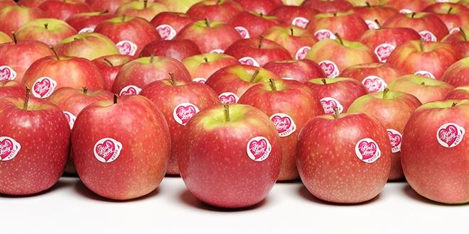 Les pommes en démarche club comme Pink Lady semblent redynamiser le marché. Photo : Pink Lady