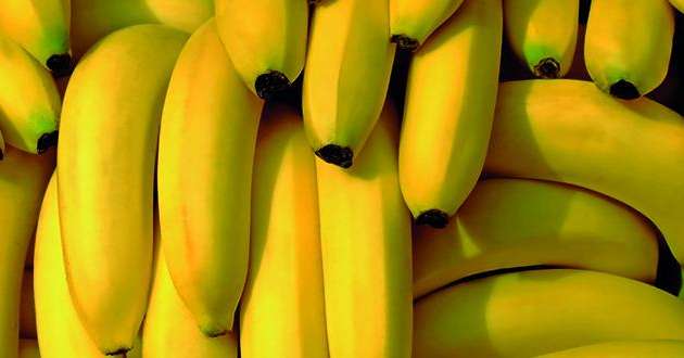 Pas de doute: il y a bien eu un "avant" et un "après" Plan Banane Durable 1. Photo: Fotolia