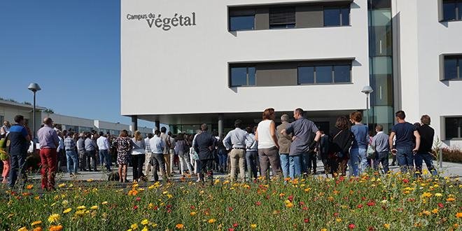 Inauguré le 9 septembre dernier à Angers (Belle-Beille), le Campus du végétal regroupe désormais l’Inra, Agrocampus-Ouest, l’université d’Angers, le Groupe ESA, Végépolys et Plante et Cité. © Inra