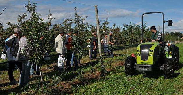 Conférences, démonstrations techniques, rencontres avec les partenaires. Les 23 et 24 septembre 2015, Tech&Bio propose tout un programme pour les arboriculteurs. Photo : Emmanuel Georges.