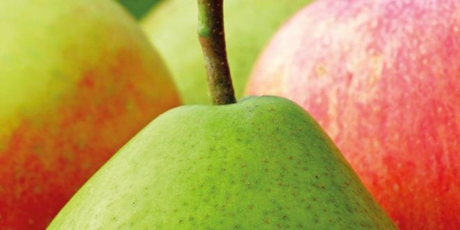 Une production européenne de pommes et poires en légère baisse, des stocks plus bas... Les prix sauront-ils faire oublier la campagne 2014 ? Photo : Fotolia