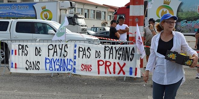 FDSEA et JA de Vaucluse et Bouches-du-Rhône ont uni leurs forces ce jeudi 2 juillet pour la mobilisation générale "+de prix, -de normes". Photo: L.Rubio/Pixel Image