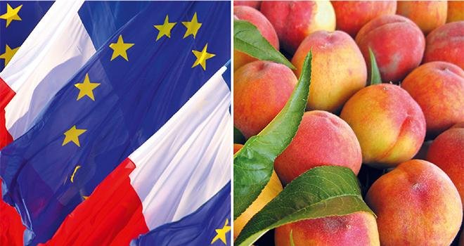 Lors du dernier conseil spécialisé "fruits et légumes", FranceAgriMer a fait un point sur les trois dispositifs de mesures exceptionnelles mises en œuvre, depuis le mois d’août, par la Commission européenne suite à l’embargo russe. Photo: DR/Fotolia