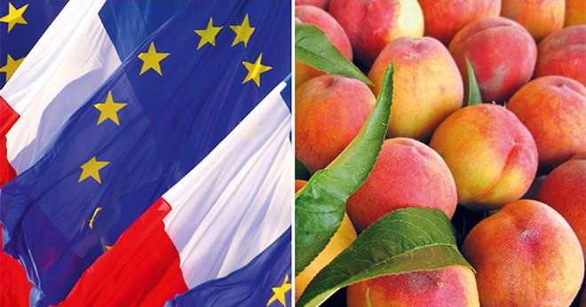 Lors du dernier conseil spécialisé "fruits et légumes", FranceAgriMer a fait un point sur les trois dispositifs de mesures exceptionnelles mises en œuvre, depuis le mois d’août, par la Commission européenne suite à l’embargo russe. Photo: DR/Fotolia