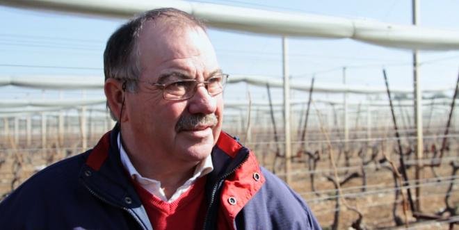 René Reynard, président de l'AOP nationale Raisin de table, a annoncé un plan stratégique pour la filière raisin de table, qui sera présenté le 4 novembre prochain à l’Université d’Avignon.