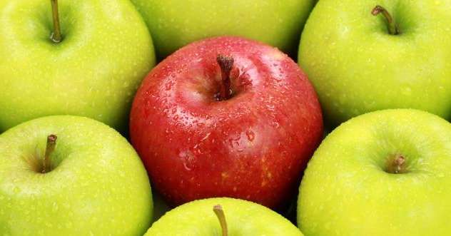 Le retard de croissance entraine une augmentation de 5% de la proportion de petits fruits