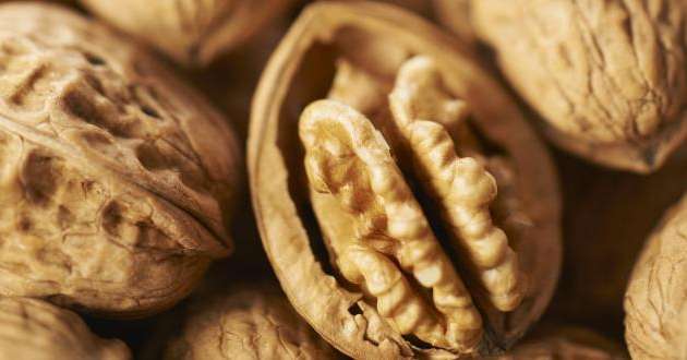 Le marché français de la noix semble s'être conforté et la valeur du produit a gagné en notoriété. 