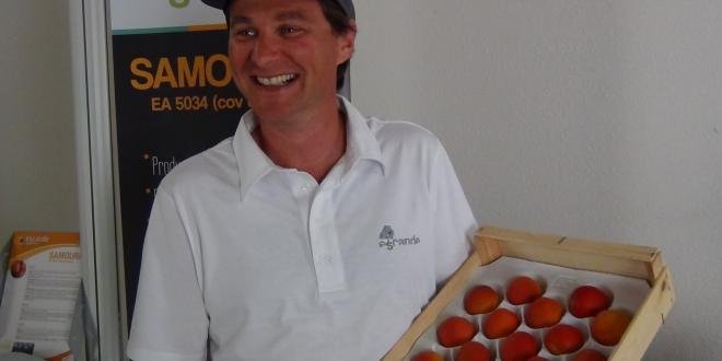 Benoît Escande présente sa dernière variété d'abricot, Samouraï (c).