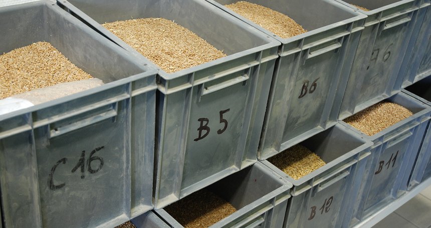 Sur deux jours, le commerce physique de grain est abordé : problématiques qualité (certification CSA/GTP), stockage, mais aussi contractualisation avec les producteurs et avec l’aval. Photo : O. Lévêque/Pixel6TM