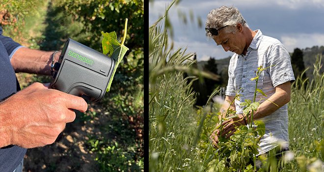 Le scanner portatif par spectrométrie de la société Senseen mesure le potentiel redox grâce à une feuille de vigne. Photos : Estandon