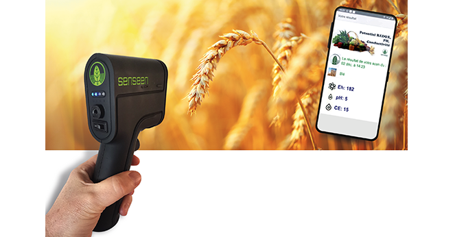 Il est possible de lire instantanément sur son Smartphone le résultat de l’analyse par spectrométrie du pH, du redox et de la conductivité. Photos : Subbotina Anna/Adobe Stock-Senseen