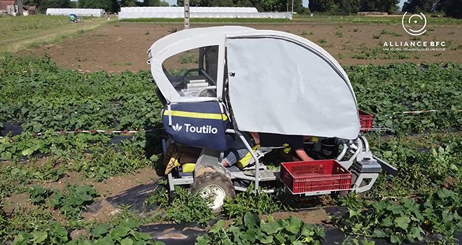 Le robot enjambeur Toutilo de la start-up Touti Terre a été testé cette année pour mécaniser la récolte du cornichon. Photo : Alliance BFC