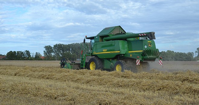 Au 28 juillet, 95% de la récolte est réalisée chez Ternoveo. © S.Bot/Média et Agriculture