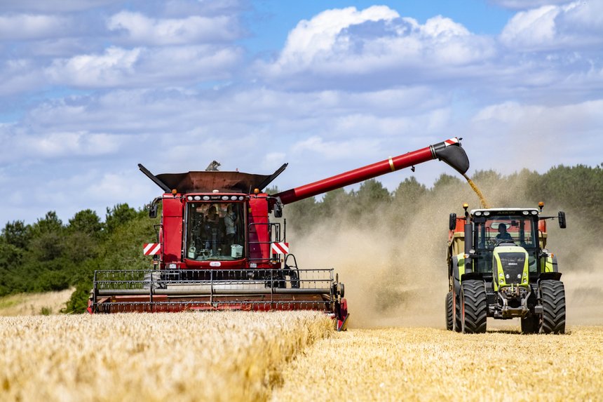En blé tendre, la moyenne régionale sur la zone Axéréal est comprise entre 40 et 100 q/ha.  Photo : Didier Depoorter