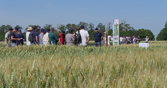 Les six rencontres agronomiques d’Axéréal ont drainé 1 200 participants. Photo : W.Deschamps/Pixel6TM