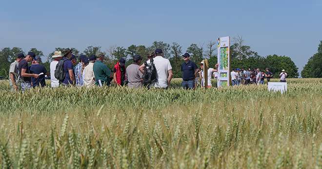 Les six rencontres agronomiques d’Axéréal ont drainé 1 200 participants. Photo : W.Deschamps/Pixel6TM