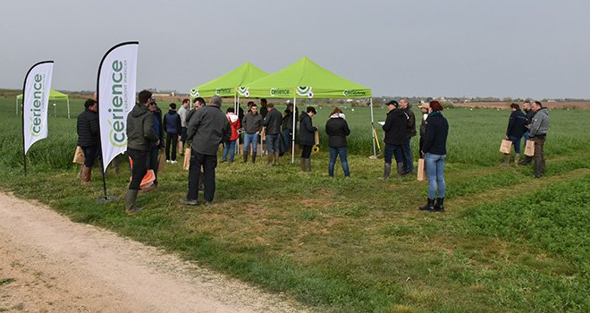 Une quarantaine de techniciens de coopératives et négoces agricoles du Poitou-Charentes étaient présents à la plateforme Cérience au sud de Melle (Deux-Sèvres) le 29 mars dernier. © O.Lévêque