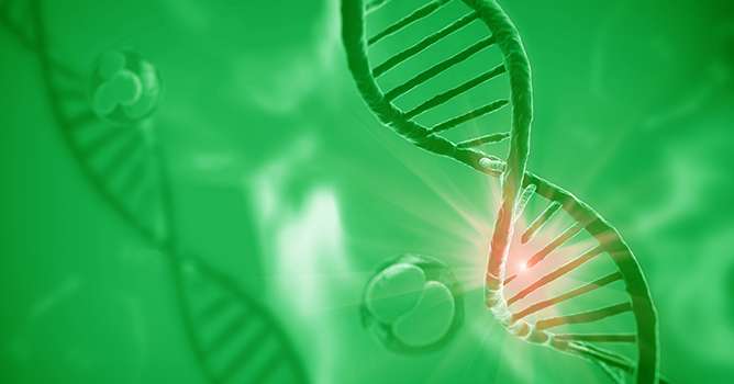 Le système CRISPR-Cas9 est utilisé naturellement par les bactéries pour identifier des séquences d’ADN et les découper à un endroit très précis. Photo : Giovanni Cancemi/Adobe Stock