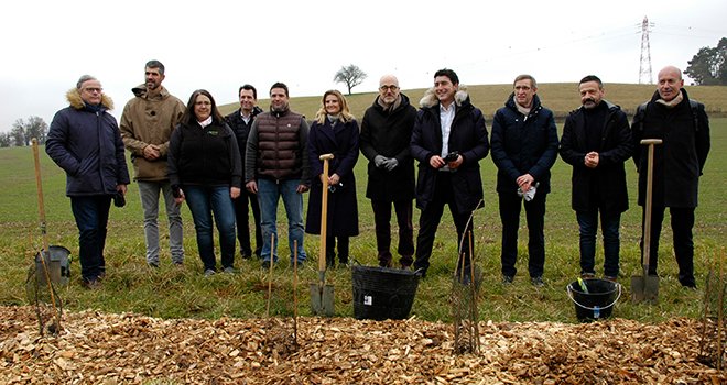 Les représentants de McDonald's, d'Oxyane et des autres partenaires ont planté cinq chênes au bord d'une parcelle de blé CRC. Photo : I.Aubert/Pixel6tm
