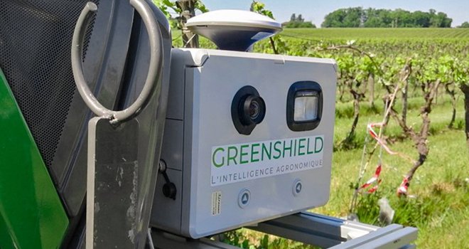Avec cette approche de lutte antimildiou, Greenshield  vise une économie immédiate de fongicides de l’ordre de 25 %  sur une campagne, sans impact sur la vigne. Photo : Greenshield