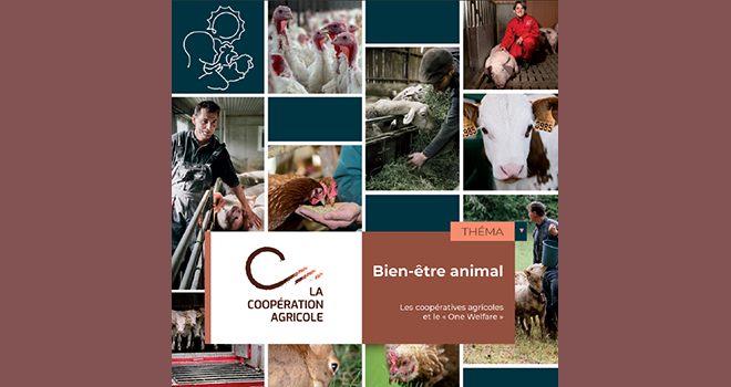 Le Théma, dont l’ensemble de la rédaction a été guidé par le concept de  « One Wel-fare » rassemble au total 18 pratiques mises en œuvre par les coopératives agricoles en matière de bien-être animal. Photo : DR