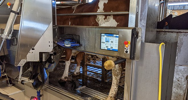 Les robots de traite sont devenus un équipement courant : désormais, un jeune sur deux installé en production laitière en est équipé. Photo : Agathe Legendre/Terroir Est