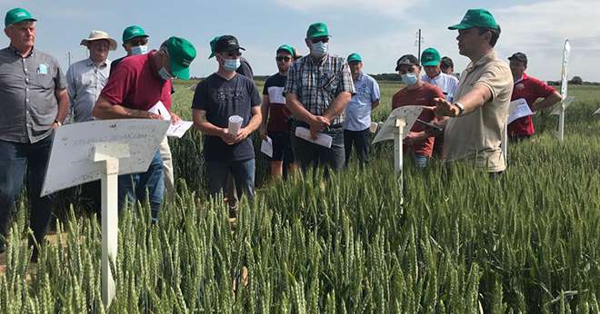 Les 5 000 micro-parcelles des plateformes agroécologiques d’Agora permettent de se positionner notamment sur des problématiques telles que la certification HVE, le label bas carbone, le colza bas GES. Photo : Agora