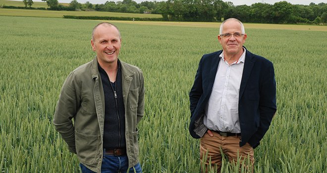 Mickaël Proust, agriculteur client de VSN (à gauche) et Gille Monaury, le directeur du négoce, dans une parcelle de blé La Belle Terre à Saint-Symphorien (Deux-Sèvres). Photo : O.Lévêque/Pixel6TM