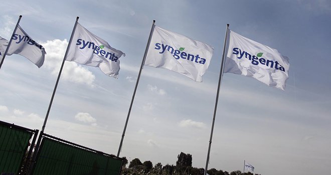 Une nouvelle gamme de blés hybrides, une nouvelle offre fongicide colza et le renforcement de l’OAD Avizio… font partie des innovations Syngenta. Photo : DR