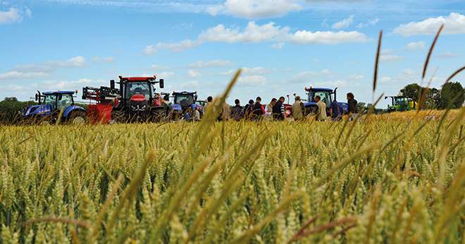 Une des difficultés est de savoir dans quelle limite un GIEE sera autorisé pour une structure ayant choisi la vente. Photo : S.Bot/Média et Agriculture