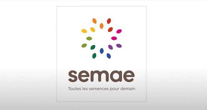 La création de Semae se traduit par un nouveau logo accompagné de la baseline « Toutes les semences pour demain ».