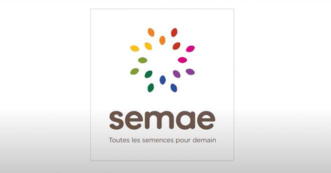La création de Semae se traduit par un nouveau logo accompagné de la baseline « Toutes les semences pour demain ».