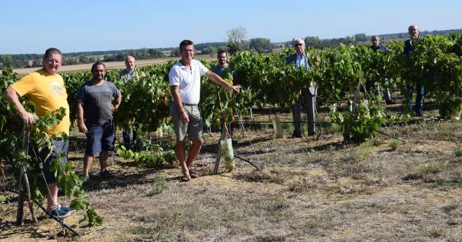 Ce vignoble innovant est le fruit d’une aventure collective entre le négociant Boisset, la coopérative Bourgogne du Sud et neuf agri-viticulteurs du Val de Saône. CP : E. Thomas/Pixel6TM 