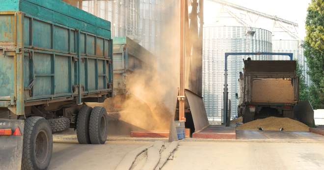 Limiter les ruptures de charges, planifier et optimiser les flux, la filière céréalière doit rechercher une meilleure compétitivité de sa logistique. CP : DenisProduction.com/Adobe Stock 