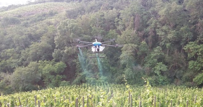 L’application de produits phytosanitaires par drone pourrait constituer une alternative  au chenillard et aux appareils de traitement à dos pour les vignobles en forte pente. CP : CA de l’Ardèche