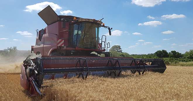 La moisson 2020 reste très hétérogène pour les adhérents d'Agora. Photo : DR