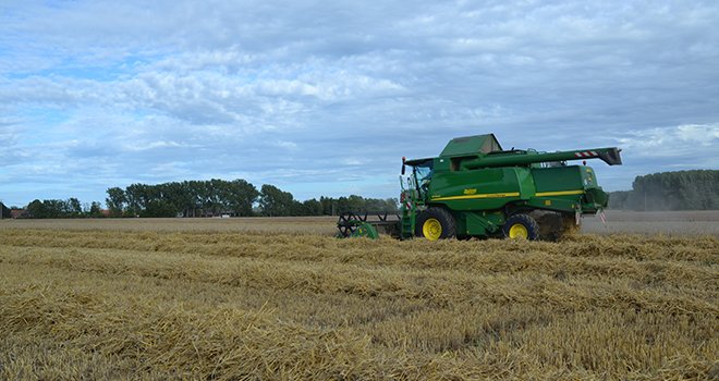 En blé, le rendement estimé est pour l’instant de 89 q chez Noriap. Le taux de protéines moyen est de 11,2%. Photo : S.Bot/Média et Agriculture
