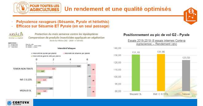 Selon Guillaume Quinot, responsable technique maïs chez Corteva Agriscience, le rendement gagné est de huit quintaux par hectare en maïs grain avec Mezalid™. CP : DR