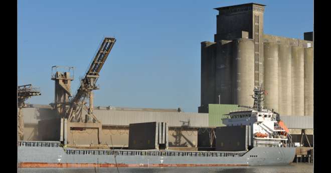 Pour le Gouvernement, l’enjeu est de permettre au secteur du grain de préserver son fonctionnement à un niveau proche de la normale. CP : MeussieuxGilles/Adobe Stock 