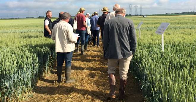 Valfrance veut maintenir les échanges, appréciés par ses sociétaires. Elle proposera donc aux agriculteurs de poser leurs questions grâce à un tchat lors du webinaire. CP : Valfrance