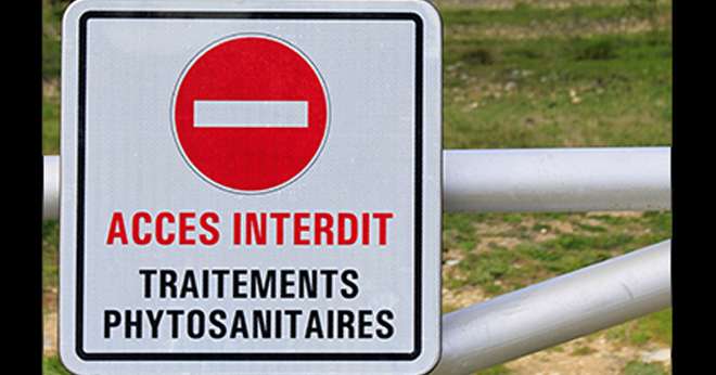 « Il n’y a pas une agriculture, mais des agricultures. Mettre tout le monde dans le même panier, c’est nier les évolutions en cours », indique Jean-Luc, céréalier. CP : Catalyseur7/Adobe Stock.