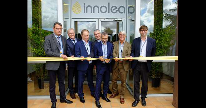Innolea fédère Euralis Semences, Limagrain, RAGT Semences et le fonds d’innovation des huiles et protéines végétales porté par Sofiprotéol. Photo : DR