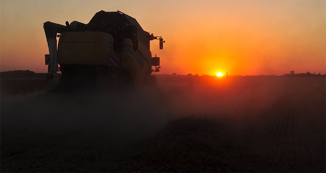 Pour le blé, qui représente 45 % de la collecte de Dijon Céréales, les résultats sont une bonne surprise. Photo : M.Barbier/Pixel6TM