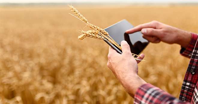 Les étudiants de L’EA Tecomah en Bachelor professionnel « Responsable Commercial en Agro-Business » ont cherché à comprendre comment les distributeurs traditionnels se remettent en question. CP : artiemedvedev/fotolia