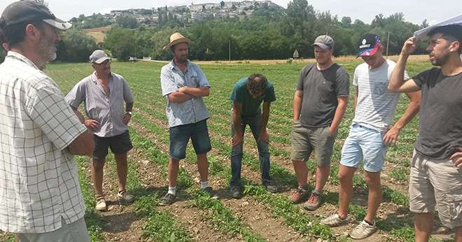 Les 3 GIEE portés par Qualisol ont pour objectif commun de développer les légumineuses. © DR