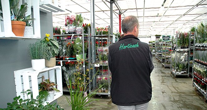 Horticash, qui expédie des plantes depuis deux sites dans l’Ouest, a capté  de nouveaux clients avec le site créé en 2011. ©M.-D. Guihard/Pixel Image